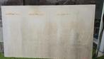 Blad paneel marmer composiet gezoet 195 x 115 x 2cm, Doe-het-zelf en Bouw, Ophalen, Gebruikt, Overige materialen, 20 tot 50 mm