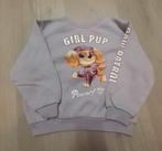 trui paw patrol SKYE maat 104, Kinderen en Baby's, Ophalen of Verzenden, Zo goed als nieuw, Meisje, Trui of Vest