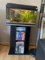 Aquarium, Dieren en Toebehoren, Vissen | Aquaria en Toebehoren, Ophalen, Gebruikt, Gevuld zoetwateraquarium