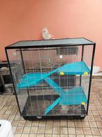 A vendre, Enlèvement, Cage