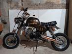 Moto Monkey/Gorilla 125cc, Particulier