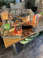 2 hamsterkooien, inclusief hamsters en alle accessoires, Dieren en Toebehoren, Ophalen, Kooi, 60 tot 90 cm, Zo goed als nieuw