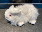 Albino konijn, Ophalen of Verzenden, Zo goed als nieuw, Konijn