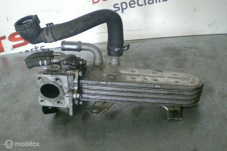 EGR-koeler ​​038131513AD​ 1.9TDI BKC BXE VAG, Auto-onderdelen, Motor en Toebehoren, Volkswagen, Gebruikt, Ophalen of Verzenden