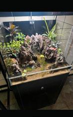 Aquarium paludarium, Dieren en Toebehoren, Reptielen en Amfibieën | Toebehoren, Ophalen