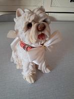 Photo d'un chien., Enlèvement ou Envoi, Comme neuf