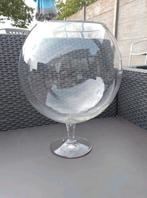 Vaas/design viskom, Huis en Inrichting, Woonaccessoires | Vazen, Ophalen, Gebruikt, Glas, Minder dan 50 cm