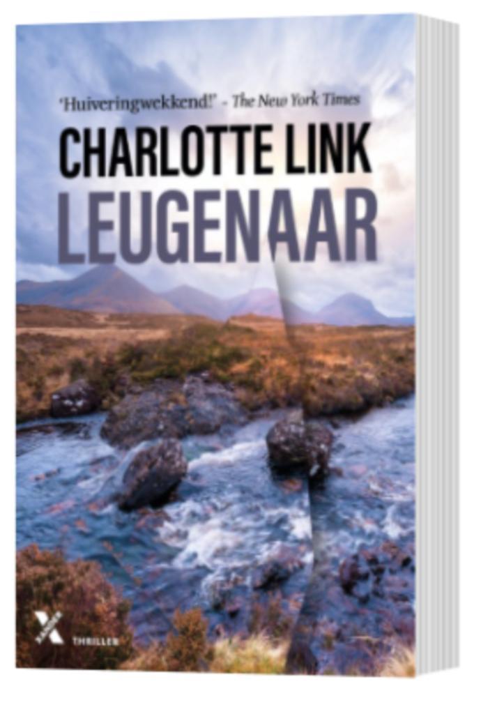 Boek Leugenaar - Charlotte Link, Boeken, Thrillers, Zo goed als nieuw, Verzenden