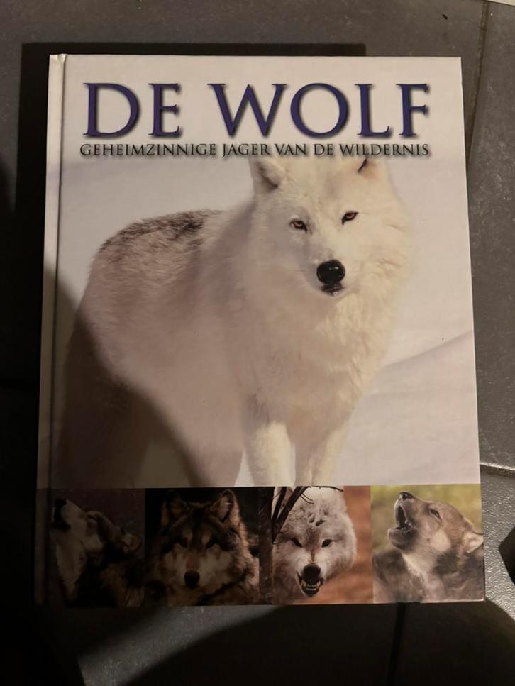 De wolf - geheimzinnige jager van de wildernis, Livres, Animaux & Animaux domestiques, Comme neuf, Autres espèces, Enlèvement ou Envoi