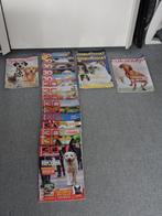 LECTURE SYMPA Lot de divers magazines animaliers, Ophalen of Verzenden, Gelezen