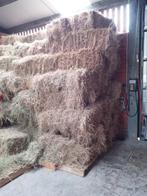 Hooi, Animaux & Accessoires, Nourriture pour Animaux, Enlèvement