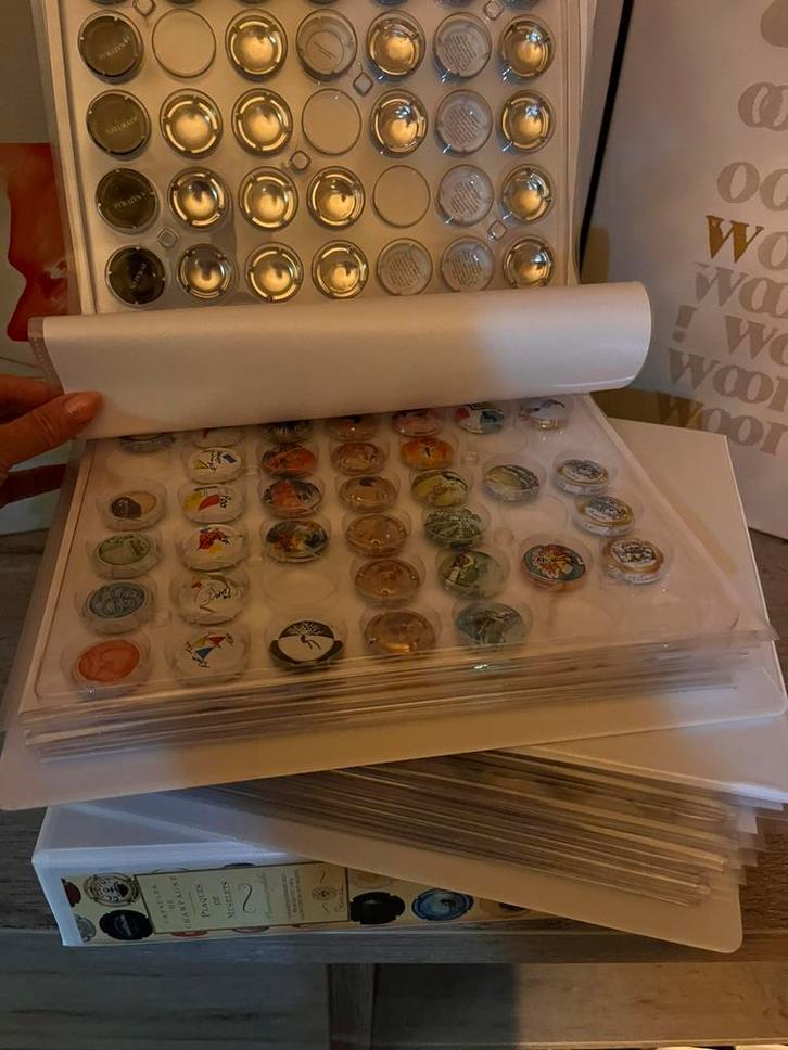 1000 stuks generieke champagne capsules, Verzamelen, Complete verzamelingen en Collecties, Ophalen of Verzenden