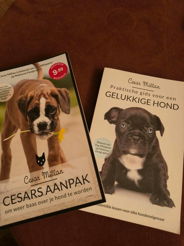 Cesar Millan - Cesars aanpak, Boeken, Dieren en Huisdieren, Honden, Ophalen