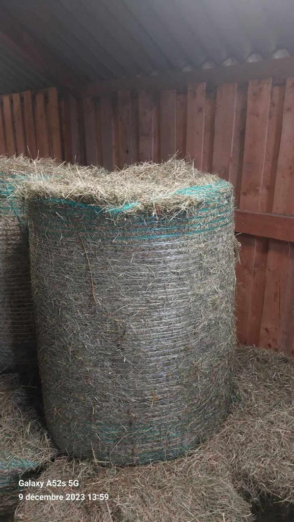 FOIN, Animaux & Accessoires, Nourriture pour Animaux, Bétail, Enlèvement