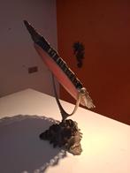 Antieke spiegel, Enlèvement