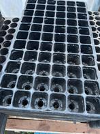 stekplaat plantplaat zaaiplaat 66 plantgaten, Tuin en Terras, Bloembakken en Plantenbakken, Kunststof, Minder dan 30 cm, Minder dan 60 cm