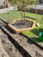 Granieten zeskant plantenbak, Tuin, Gebruikt, Ophalen of Verzenden