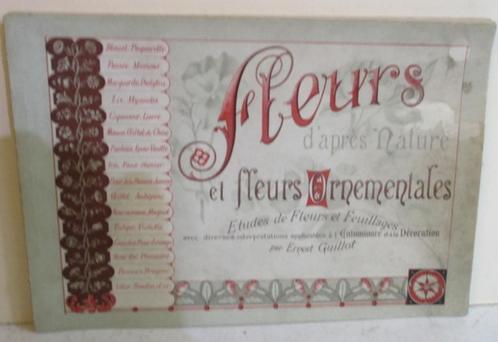 Fleurs Ernest Guillot lithographie art nouveau fleurs, Antiquités & Art, Art | Lithographies & Sérigraphies, Envoi