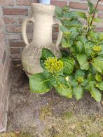 2 grote terracotta potten, Tuin en Terras, Ophalen, Terracotta