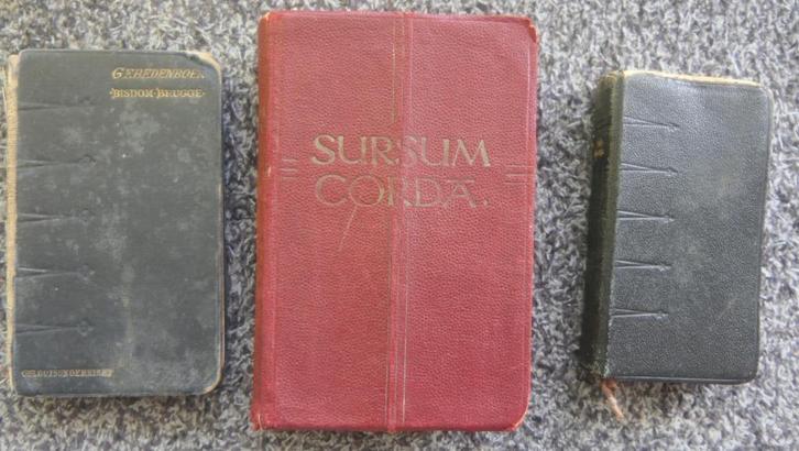 3 gebedenboek katholiek, Verzamelen, Religie, Gebruikt, Christendom | Katholiek, Boek, Ophalen