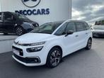 Citroen C4 Spacetourer PureTech S&S Rip Curl, Auto's, Citroën, Monovolume, https://public.car-pass.be/vhr/dc27c7bd-f290-4349-9ad5-19473fe65b6d