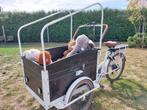 Elektrische bakfiets, 4 kinderen of meer, Gebruikt, Elektrisch, Ophalen