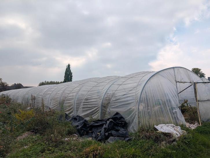 Serre bruneel, Tuin en Terras, Overkappingen, Gebruikt, Serre, Ophalen