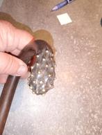 Wandelstok, Diversen, Ophalen of Verzenden