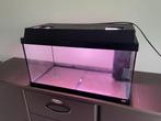 aquarium 60L, Dieren en Toebehoren, Ophalen, Gebruikt