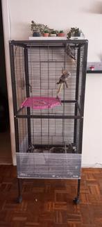 Ik verkoop een grote kooi. Wordt samen verkocht, niet apart, Dieren en Toebehoren, Vogels | Hokken en Kooien, Ophalen of Verzenden