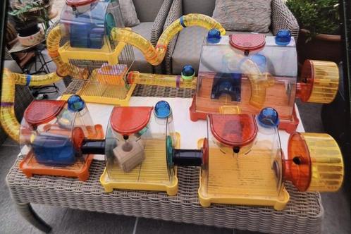 hamster of muizenkooien SAM, een heel dorp, Dieren en Toebehoren, Knaagdieren en Konijnen | Hokken en Kooien, Hamster, Ophalen