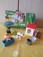 Duplo bouwdoos 10870 boerderijdieren, Ophalen, Zo goed als nieuw, Complete set, Duplo