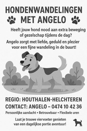 Hondenuitlaatservice  beschikbaar voor biedingen