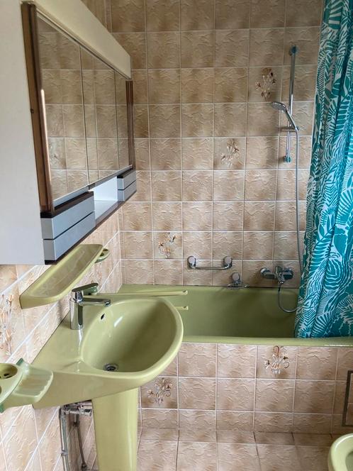 Vintage groene badkamer, Huis en Inrichting, Badkamer | Complete badkamers, Zo goed als nieuw, Ophalen