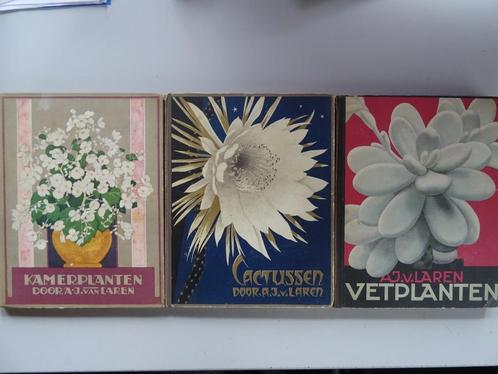A.J. van Laren Kamerplanten Cactussen Vetplanten set 9 euro!, Boeken, Prentenboeken en Plaatjesalbums, Gelezen, Plaatjesalbum