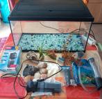 Aquarium van 60 cm met accessoires voor 45 euro

Kleine hals, Ophalen, Gebruikt