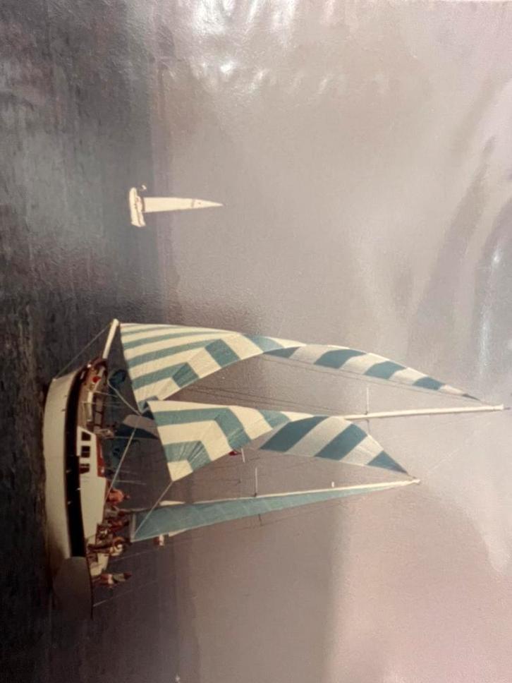 Moet weg, bijna voor niets, 16mx4,5m Woon/project zeiljacht., Immo, Péniches à vendre, Anvers (ville), Ventes sans courtier