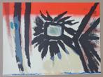 JAN COX / KUNST OP DE CAMPUS / KLEURLITHO / 55x72cm / SIG 78, Antiek en Kunst, Ophalen of Verzenden