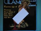 Glamour International Bettie Page, Ophalen of Verzenden, Gebruikt, Boek of Spel