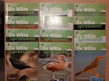 De witte spreeuwen maandblad