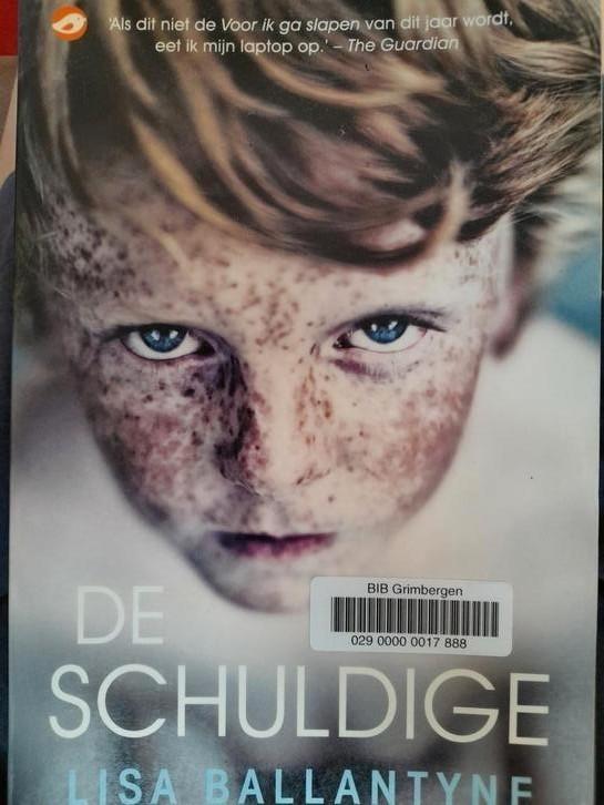 Lisa Ballantyne - De schuldige, Boeken, Literatuur, Zo goed als nieuw, Ophalen of Verzenden