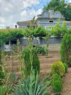 Bulgarije - onderhouden landelijk huis met groot terrein, Immo, Buitenland, Landelijk