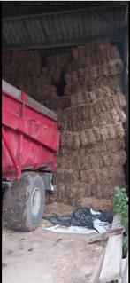 stro, Dieren en Toebehoren