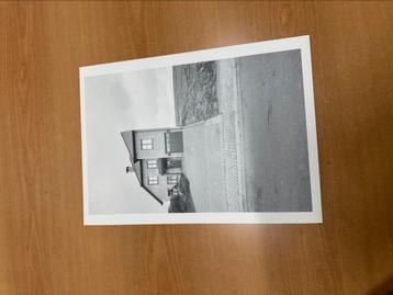 Foto Michiel Hendryckx uit 2009 beschikbaar voor biedingen