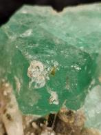 Magnifique cristal de fluorite verte de Stak Nala, Pakistan!, Collections, Minéraux & Fossiles, Enlèvement ou Envoi, Minéral