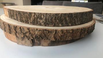 Boomschijf Paulowniahout H3cm diameter ongeveer 30cm naturel