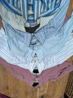 Bed met 6 hemden, Kleding | Heren, Overige kleuren, Halswijdte 38 (S) of kleiner, Tommy Hilfiger, Ophalen of Verzenden