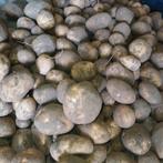 aardappel  bio, Ophalen of Verzenden