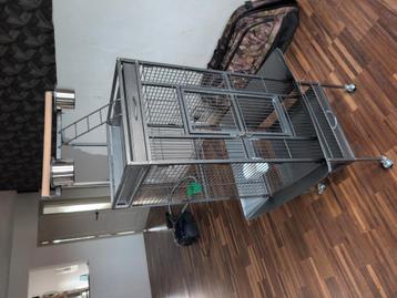 Papegaaikooi, parkiet beschikbaar voor biedingen