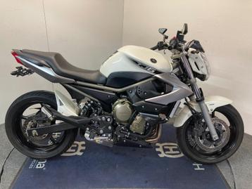 Yamaha XJ 6 MY'09 ref. LS 3169 beschikbaar voor biedingen
